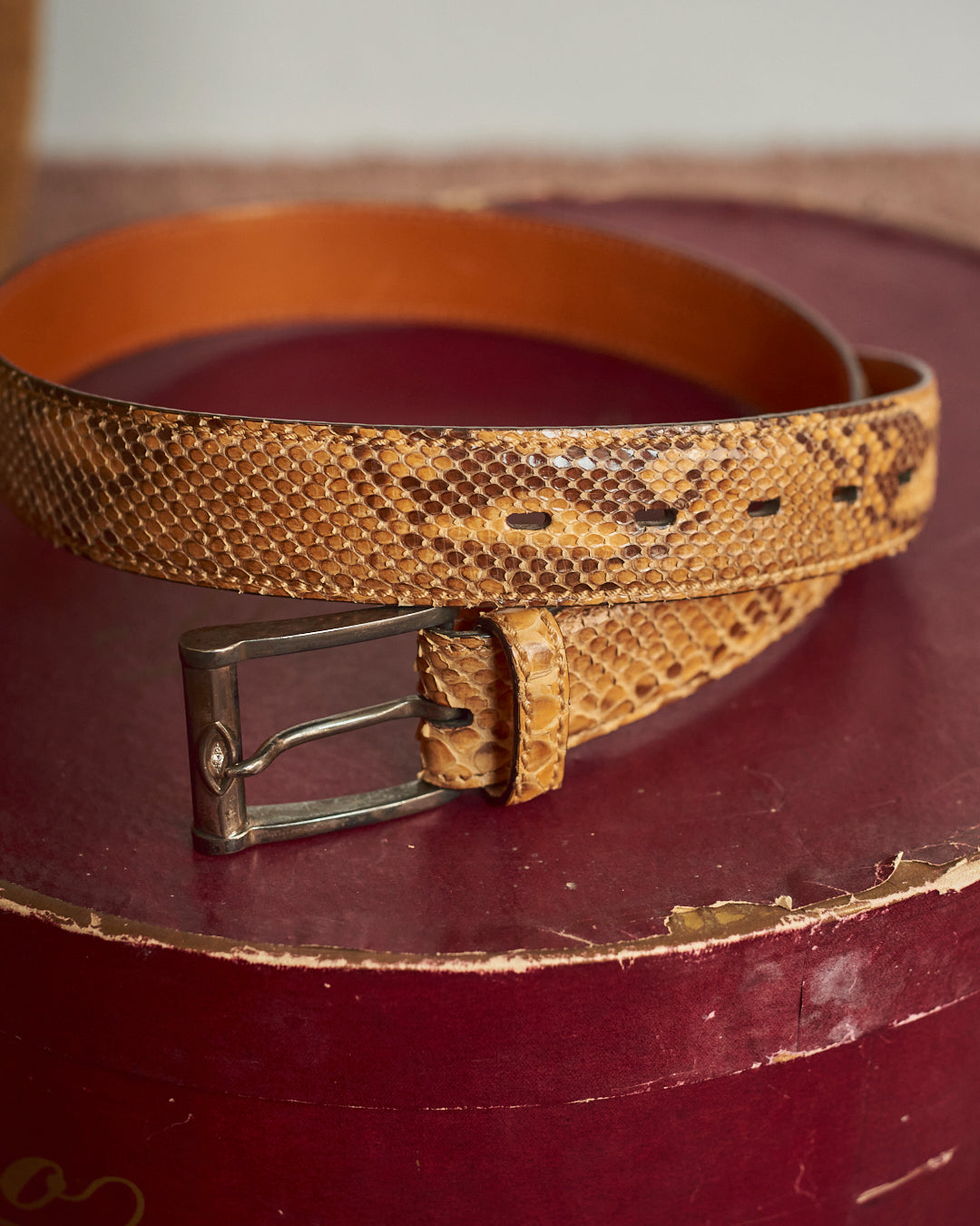 Cintura in pitone made in Italy in Bologna